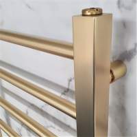 DQ Enzo TRV Corner with Brown Heads in Polished Brass Radiator Valves
