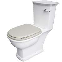 Washington Close Coupled Open Back Lever Flush WC with Soft Close Seat Greige - RAK Ceramics  