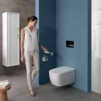 Ankam Rimless Comfort Height Back To Wall Toilet & Soft Close Seat