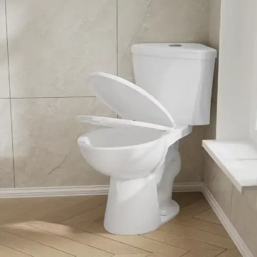 corner toilet image