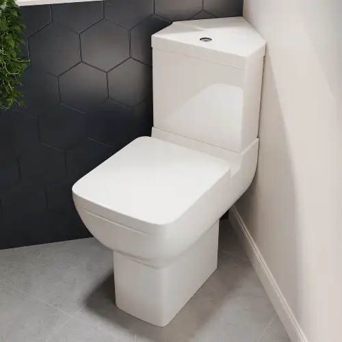 corner toilet picture 2