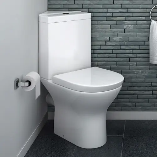corner toilet image 3