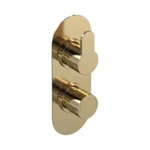 Nuie Arvan Brushed Brass Twin Concealed Shower Valve (Medium Pressure) - Single Outlet