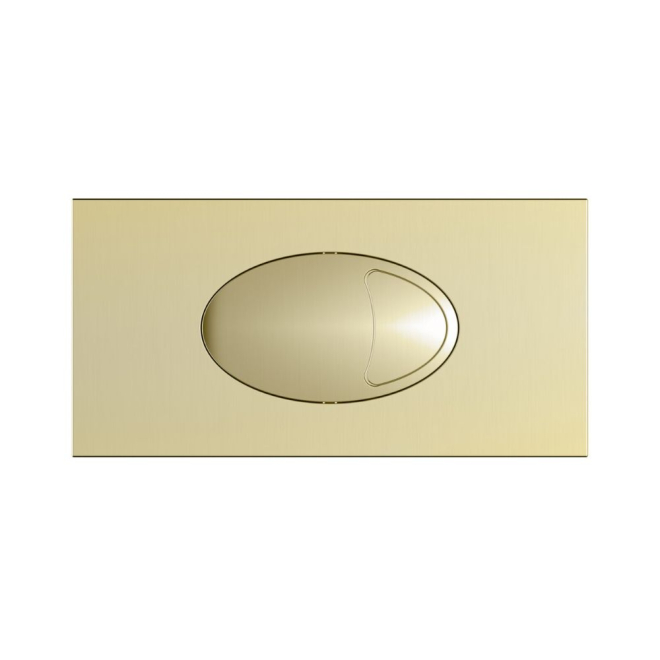 Large Brushed Brass Dual Flush Button and Access Panel - Scudo