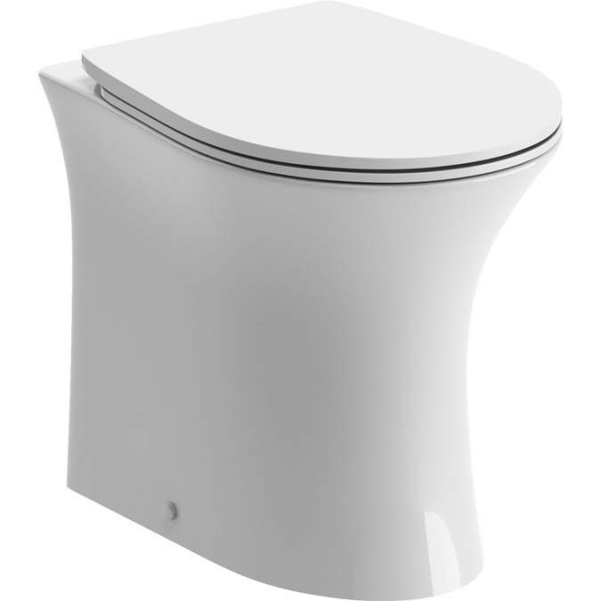 Appleyard Rimless Back To Wall Toilet & Soft Close Seat