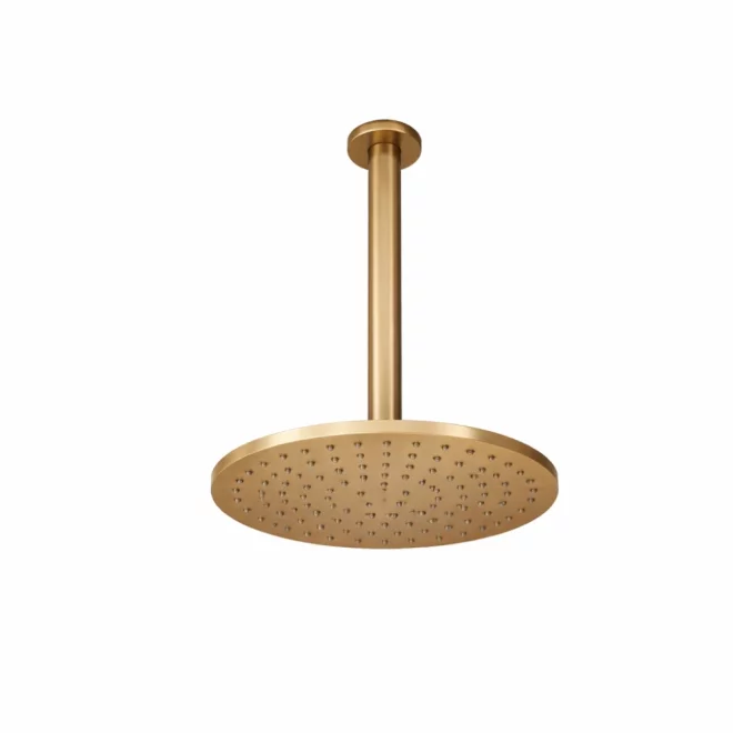 Abacus Brushed Brass 250mm Round Shower Head and Ceiling Arm