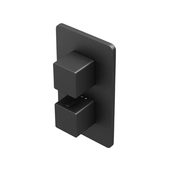 Abacus EZ Box 2.0 Black 1 Way Shower Valve with Square Handles