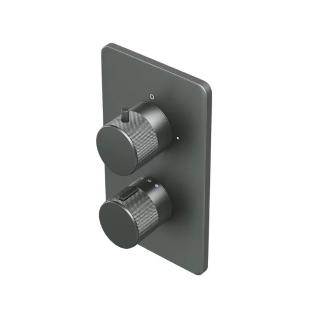 Abacus EZ Box 2.0 Matt Anthracite 2 Outlet Shower Valve with ISO Pro Handles