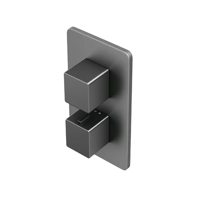 Abacus EZ Box 2.0 Matt Anthracite 2 Outlet Shower Valve with Square Handles
