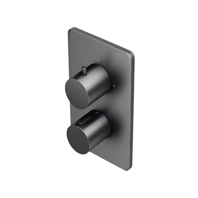 Abacus EZ Box 2.0 Matt Anthracite 1 Way Shower Valve with Round Handles