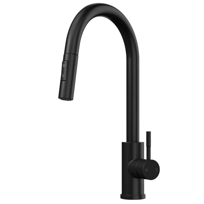 Anatra ECO Pull-Out Kitchen Mixer Tap with Swivel Spout - Matt Black