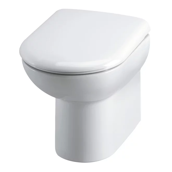 Hudson Reed D Shape Back to Wall Toilet & Seat