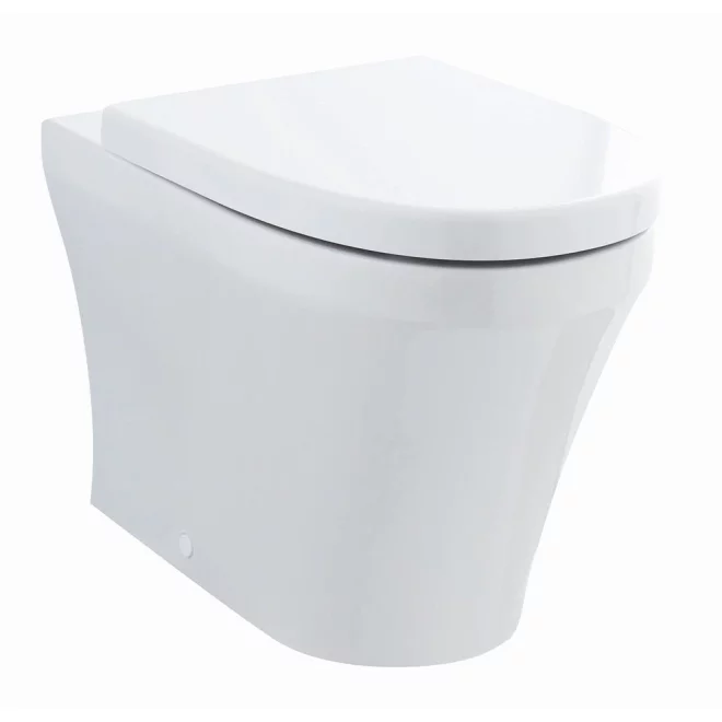 Hudson Reed Luna Back to Wall Round Toilet & Seat
