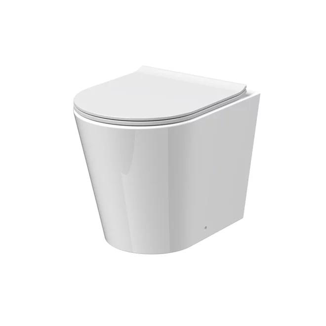Nuie Fenton Rimless Back To Wall Toilet & Seat