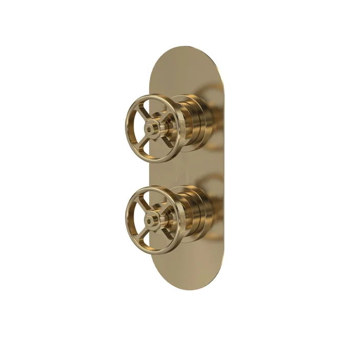 Nuie Revolution Brushed Brass 2 Outlet Shower Valve