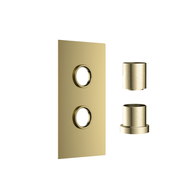 Scudo Brushed Brass Double Concealed Plate with Sleeves