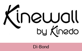 Kinewall