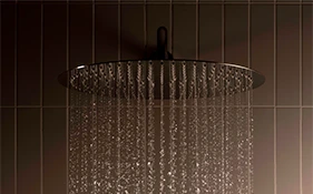 Roca Showering
