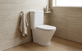 Roca Toilets