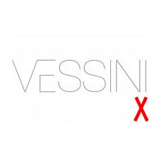 Vessini X 10mm Wetroom Glass