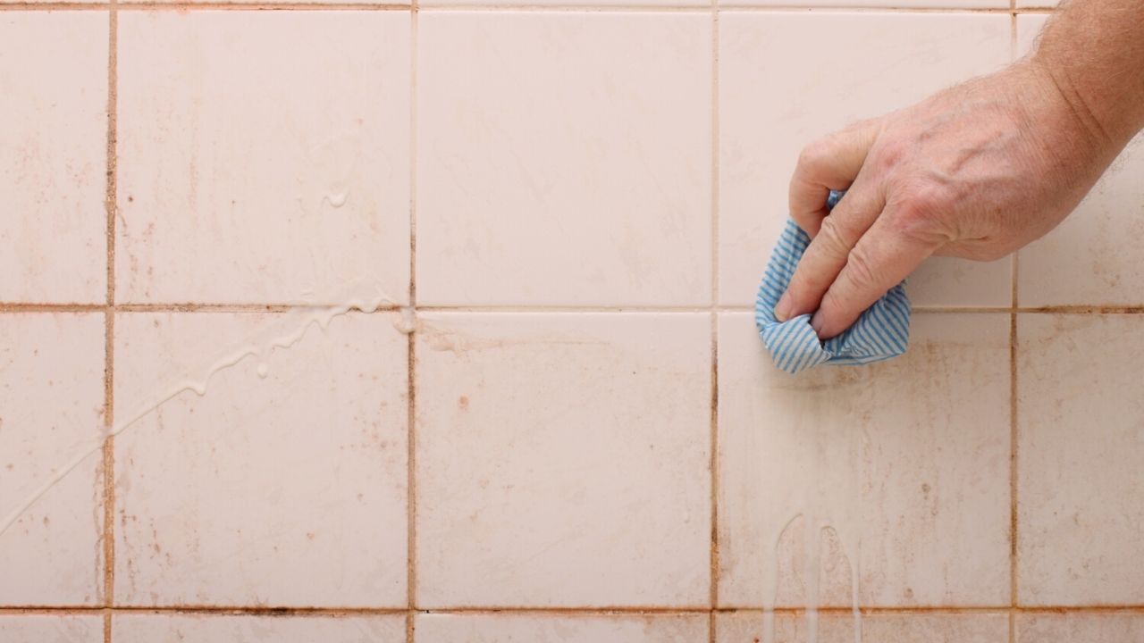 Remove Pink Mould From Your Bathroom  Rubberduck Bathrooms