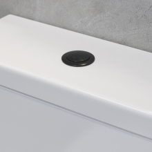Anatra-Black-Dual-Flush-Button-Lifestyle4.jpg