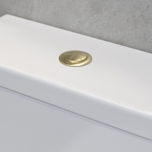 Anatra-Brushed-Brass-Dual-Flush-Cable-Lifestyle3.jpg