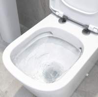 Burlington Rimless Slimline Close Coupled WC & White Ceramic Cistern with Push Button P20 C4