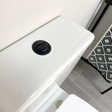 Antra-Black-Dual-Flush-Button-Lifestyle1.jpg