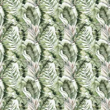 Banana-Trees-lifestyle.webp