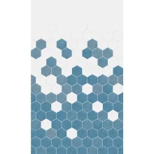 Blue-Monochrome-Hexagon-full-panel.webp