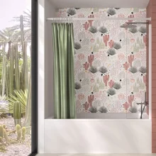 Cactus-kinewall-lifestyle.webp