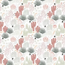 Cactus-kinewall-lifestyle.webp