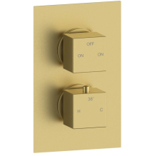 Challans-Square-2-Outlet-Brass-Shower-Valve.jpg