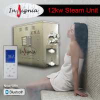 12KW Steam Generator for Steam Room INS12KW - Insignia Showers 