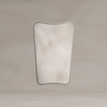 DEL-001457-BN--S01-delphine-curve-mirror-45x70cm-brushed-nickel.jpg