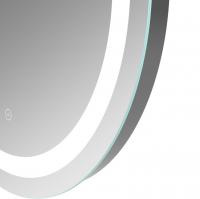 HIB Arena 120 Ambient Oval LED Bathroom Mirror 600 x 1200mm