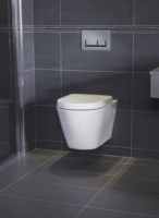 RAK Resort Wall Hung WC inc Soft Close Seat