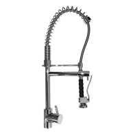Francis Galiceno Professional Straight Spout Kitchen Mixer with Pull-out Sprung Spray Head Tap