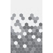 Grey-Monochrome-Hexagon-full-panel.webp
