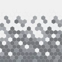 Grey-Monochrome-Hexagon-lifestyle.webp