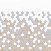 Hexagon-Trilogy-In-Situ.webp