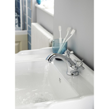 Barbary Basin Mixer with Click Clack