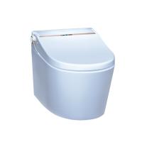 Artize Luxelet Automatic Wall Hung Rimless Smart Toilet