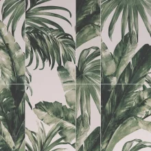 Jungle-kinewall-lifestyle.webp