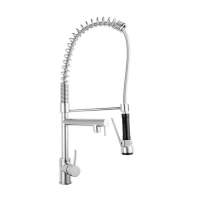 Nuie Dual Spring Pull Out Kitchen Tap