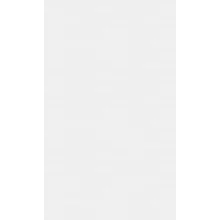 Kinewall-White-Coating-full-sheet.webp