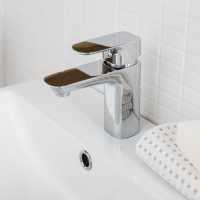 Barbary Basin Mixer with Click Clack