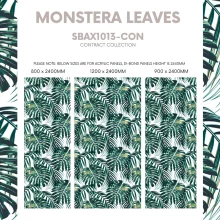 Monstera-Leaves-Size-Gude_1.webp