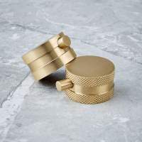 Scudo Minimalist Bottle Trap Brushed Brass